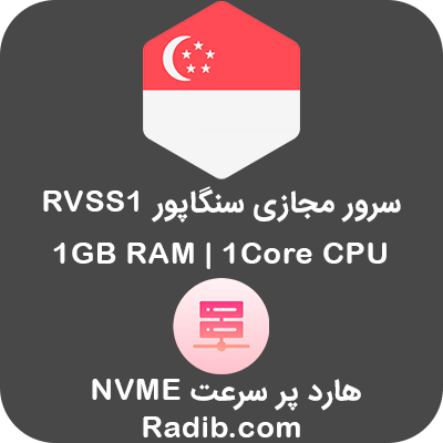 سرور مجازی سنگاپور RVSS1